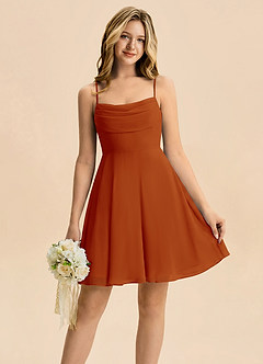 Azazie Bear Junior Paprika A-Line Pleated Chiffon Dress image1