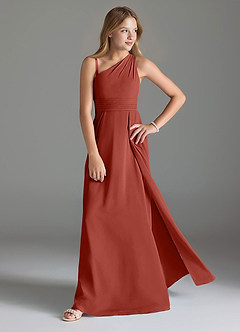 Azazie Dallas Junior Terracotta A-Line Pleated Chiffon Dress image3
