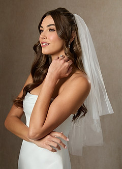 front Simple Waist Length Layered Veil