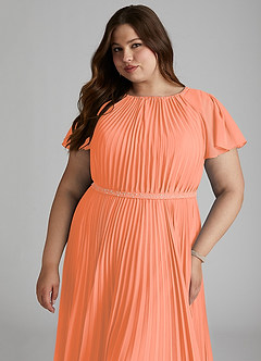 Azazie Kara Bescheidene Brautjungfernkleider A-Linie Plissee Chiffon Bodenlänge Kleid image15