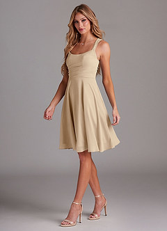 Azazie Vina Bridesmaid Dresses Champagne A-Line Lace Chiffon Dress image4