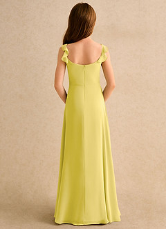 Azazie Puppy Girls Formal Flower Girl Dresses Canary A-Line Pleated Chiffon Dress image2