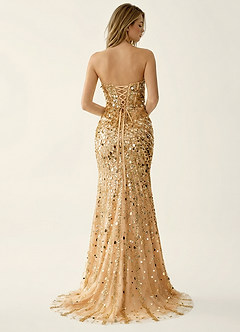 Elowomgen Champagner Paillettenbesatz, Stickerei, Mesh-Abendkleid image2