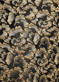 Belisse Black Midi Dress image8