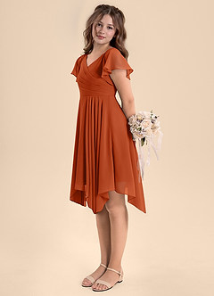 Azazie Janeaurelia Junior Burnt Orange A-Line Pleated Chiffon Dress image5