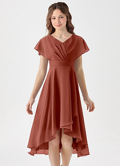 Azazie Graciela Junior Auburn A-Line Pleated Chiffon Dress image3