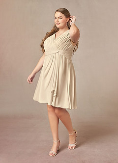 Azazie Theron Mother of the Bride Dresses Champagne A-Line V-Neck Pleated Chiffon Dress image3