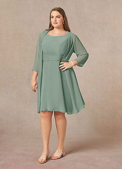 Azazie Shirley Mother of the Bride Dresses Silver Sage A-Line Scoop Pleated Chiffon Dress image10