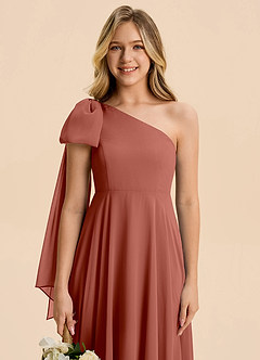 Azazie Averie Junior Auburn A-Line Pleated Chiffon Dress image4