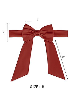 front Matte Satin Sash with Back Bow