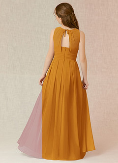 Azazie Bibiane Junior Butterscotch A-Line Pleated Chiffon Dress image4