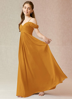Azazie Kaitlynn Junior Butterscotch A-Line Off the Shoulder Chiffon Dress image3