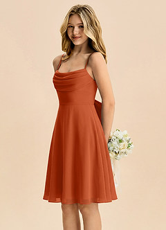 Azazie Bear Junior Burnt Orange A-Line Pleated Chiffon Dress image4
