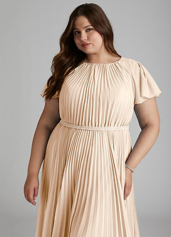 Azazie Kara Bescheiden Bruidsmeisjekleding A-Lijn Geplooid Chiffon Vloerlengte Jurk image15