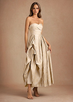 Maelis Vintage Champagne Maxi Dress image4