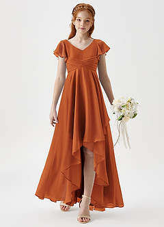 Azazie Caria Junior Cinnamon A-Line Pleated Chiffon Dress image3