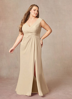 Azazie Sally Mother of the Bride Dresses Champagne A-Line V-Neck Pleated Chiffon Dress image9