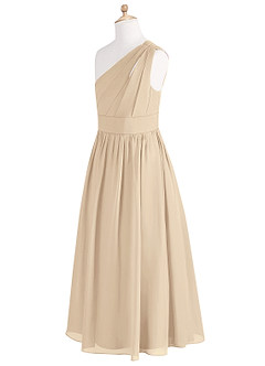 Azazie Molly Junior Champagne A-Line Pleated Chiffon Dress image9