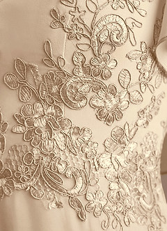 Azazie Frieda Mother of the Bride Dresses Champagne A-Line Applique Chiffon Dress image6