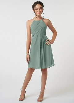 Azazie Ginny Junior Silver Sage A-Line Pleated Chiffon Dress image1