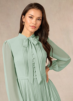 Azazie Adellah Mother of the Bride Dresses Agave A-Line Pleated Chiffon Dress image5