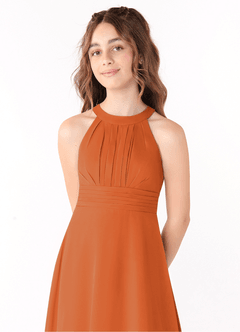 Azazie Linna Junior Cinnamon A-Line Pleated Chiffon Dress image4
