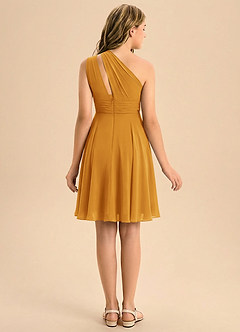 Azazie Charlize Junior A-Line Plisseret Chiffon Mini Junior brudepige Kjole image2