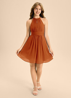 Azazie Bonnie Junior Paprika A-Line Pleated Chiffon Dress image1
