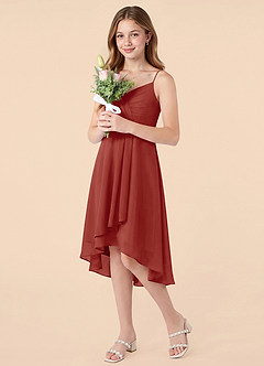 Azazie Mariam Junior Terracotta A-Line Pleated Chiffon Dress image3