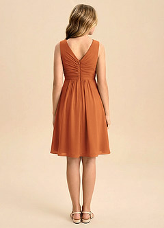 Azazie Skyla Junior Vestido de Canela de Gasa de Corte en A con Plisado image2