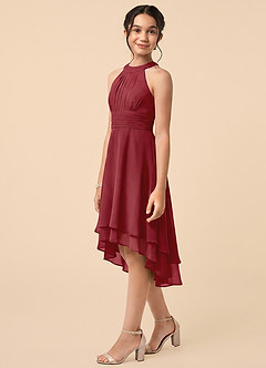 Azazie Linna Junior Pomegranate A-Line Pleated Chiffon Dress image3