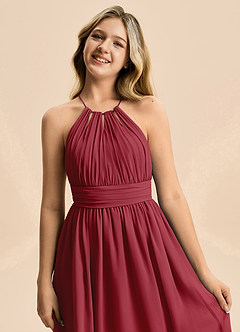 Azazie Noelle Junior Pomegranate A-Line Pleated Chiffon Dress image4