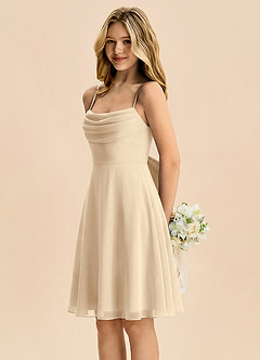 Azazie Bear Junior Champagne A-Line Pleated Chiffon Dress image4