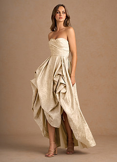 Maelis Vintage Champagne Maxi Gown image6