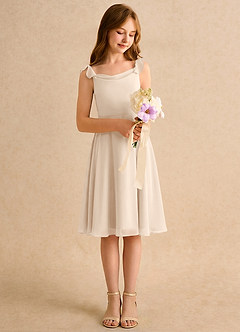 Azazie Pup Blumenmädchenkleider A-Linie Plissee Chiffon Kleid Alabaster Weiß image3