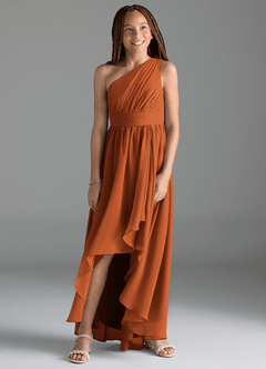 Azazie Mathilda Junior Cinnamon A-Line Pleated Chiffon Dress image4