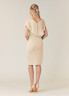 Azazie Waverly Mother of the Bride Dresses Champagne Sheath Pleated Mesh Dress image4