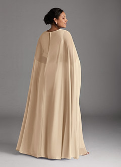 Azazie Isa Mother of the Bride Dresses Champagne A-Line V-Neck Pleated Chiffon Dress image8
