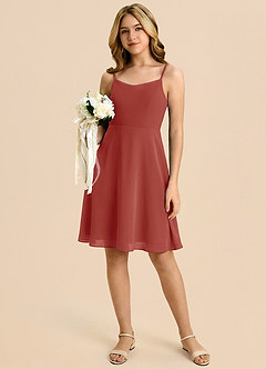 Azazie Shale Terracotta A-Line Bow Chiffon Dress image5