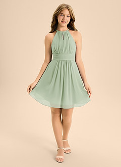 Azazie Bonnie Junior Dusty Sage A-Line Pleated Chiffon Dress image1