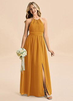 Azazie Noelle Junior Butterscotch A-Line Pleated Chiffon Dress image6
