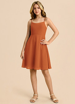 Azazie Shale Cinnamon A-Line Bow Chiffon Dress image3