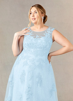 Azazie Flynn Mother of the Bride Dresses Sky Blue A-Line Boatneck Lace Tulle Dress image10