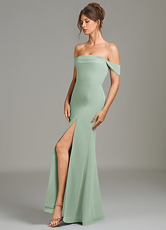 Azazie Charmaine At-home Try On Dresses Agave A-Line Off the Shoulder Chiffon Dress image4