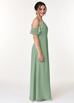 Azazie Dakota Junior Sky Blue A-Line Off the Shoulder Chiffon Dress image3