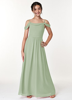 Azazie Alivia Junior Dusty Sage A-Line Off the Shoulder Chiffon Dress image1