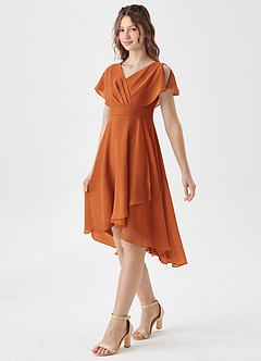 Azazie Graciela Junior Cinnamon A-Line Pleated Chiffon Dress image4