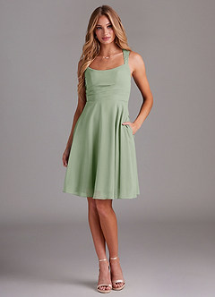 Azazie Vina Bridesmaid Dresses Dusty Sage A-Line Lace Chiffon Dress image1