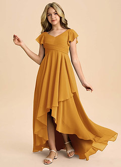 Azazie Caria Junior Butterscotch A-Line Pleated Chiffon Dress image1