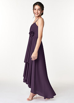 Azazie Catalina Junior A-Linie Gestreift Chiffon Kleid Pflaume image5